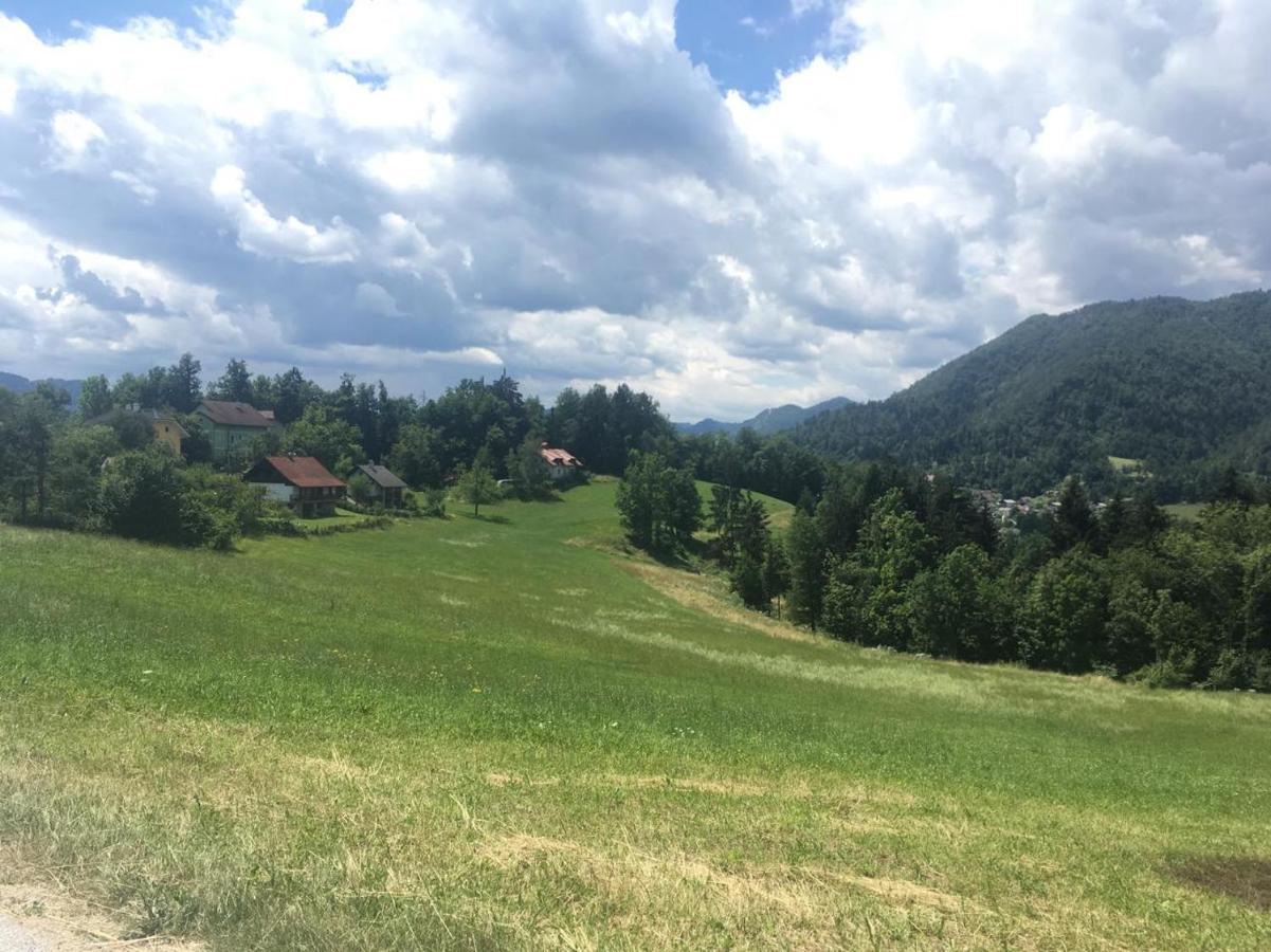 B&B Cerne Polhov Gradec Exterior photo