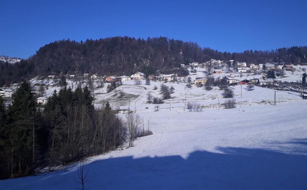 B&B Cerne Polhov Gradec Exterior photo