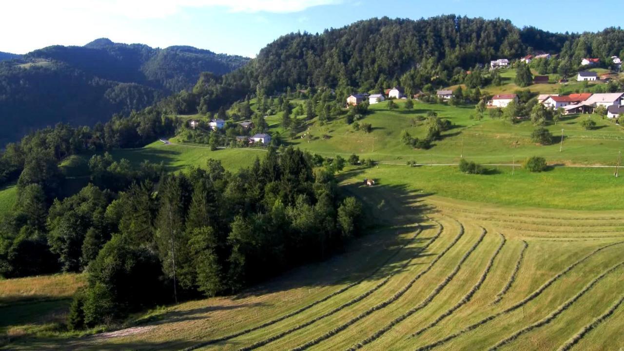 B&B Cerne Polhov Gradec Exterior photo